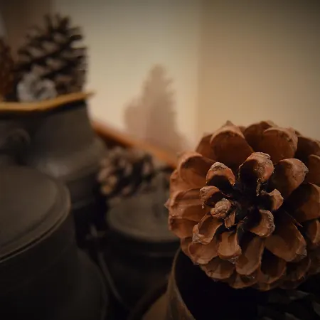 Πανδοχείο Casa Do Manego *