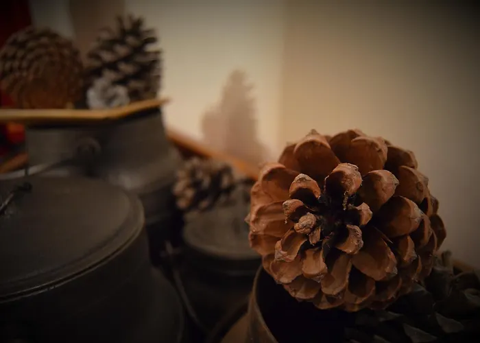 宾馆 Casa Do Manego *